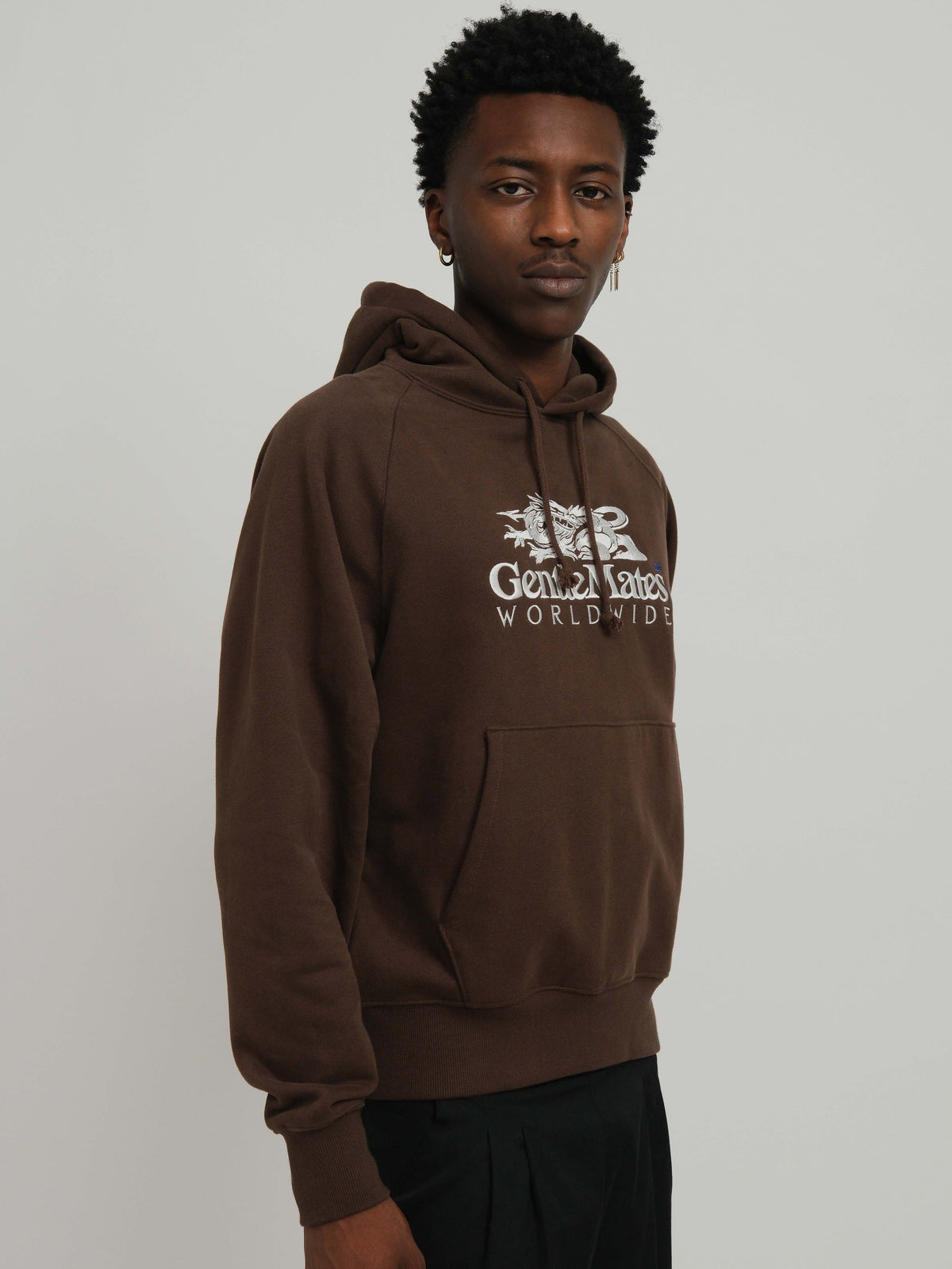 Hoodie Worldwide marron