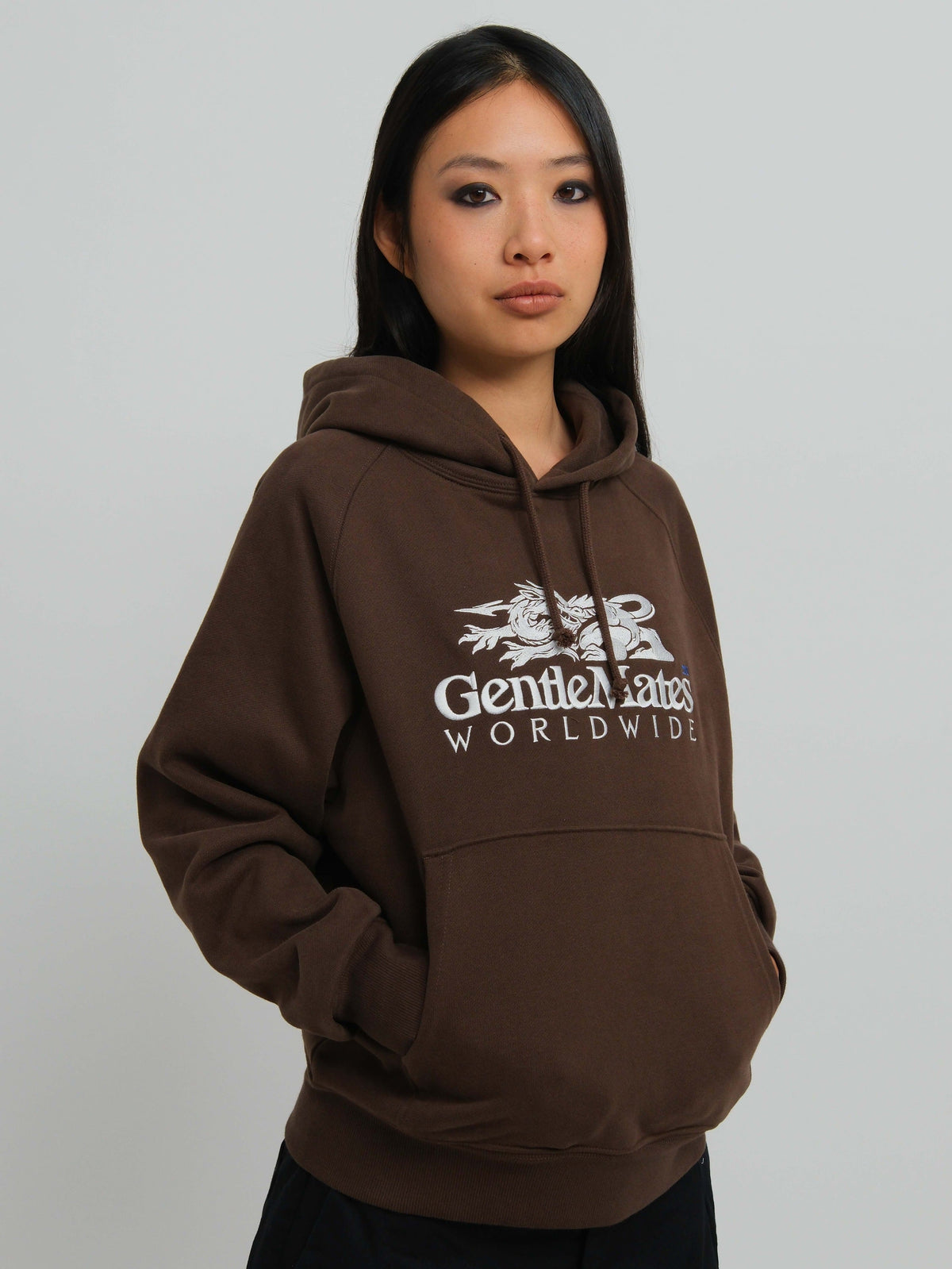 Hoodie Worldwide marron