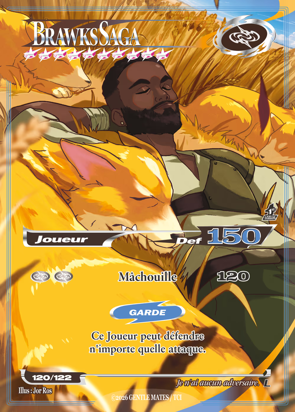 Brawks Saga